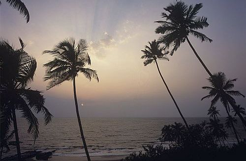 This Beachside Goan Retreat Should Be On Every Yogi's Bucket List